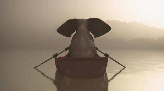 “除了感情啥都修”的重慶明星公司，要IPO了