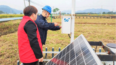 浙江5G應(yīng)用碩果累累