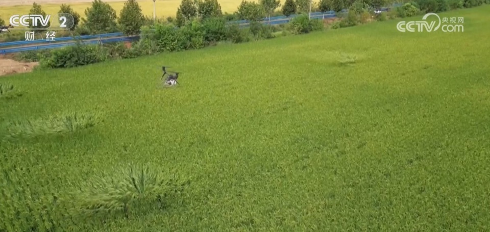 低空經濟催生無人機“飛手”考證熱 目前操控員就業人才缺口大