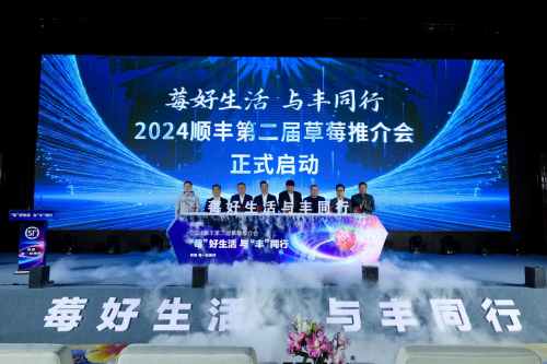 運能提升超 20%！順豐打造“直播+物流”新業態，為丹東草莓