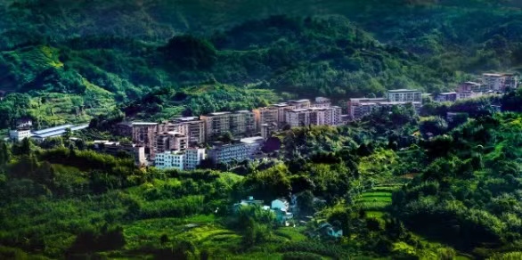 鳥瞰安瀾。安瀾鎮供圖