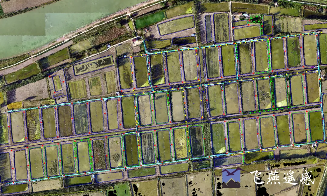 低空經濟報； 2024低空經濟：低空經濟的無人機有多強？丨飛燕遙感