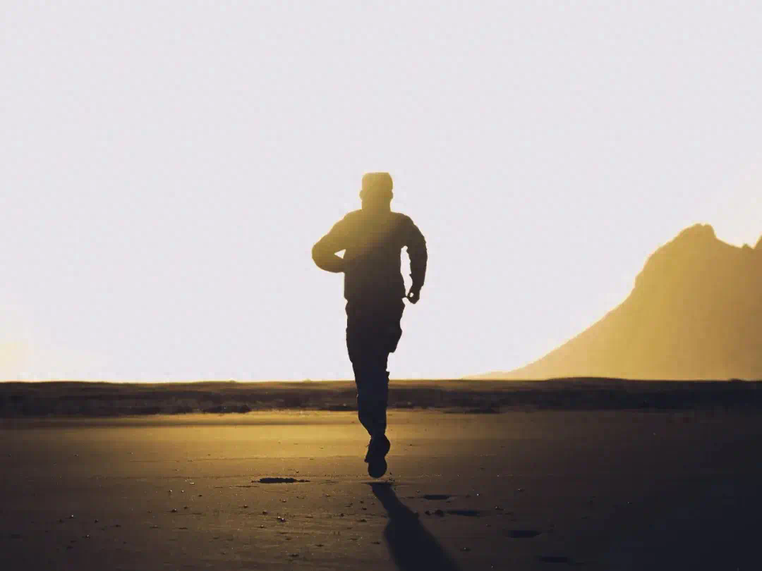 雙11新風(fēng)口背后：身居樓宇，心居曠野