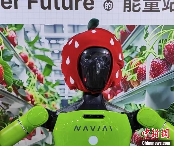 低空經(jīng)濟(jì)網(wǎng)2024| “黑科技”扎堆亮相烏鎮(zhèn)峰會(huì) AI走入尋