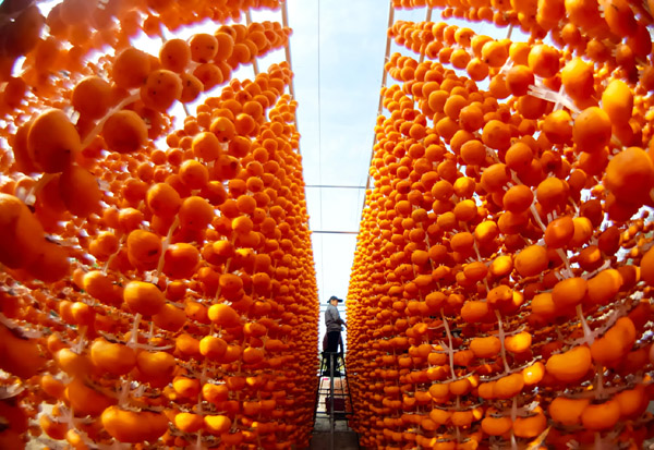 2025低空： “定點幫扶+慈善信托”鄉村振興金融創新案例交流活動舉行