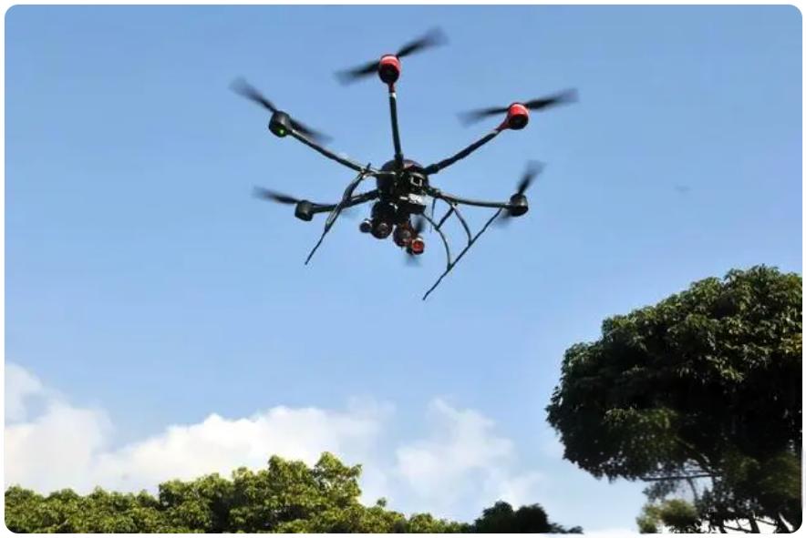 1724282482573805.jpeg 20240822-01.jpeg